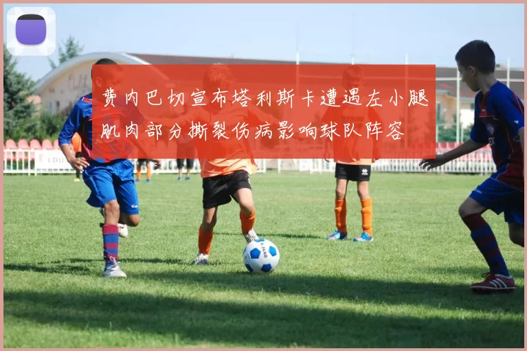 费内巴切宣布塔利斯卡遭遇左小腿肌肉部分撕裂伤病影响球队阵容